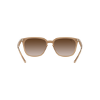 Ray Ban RB4362 RB4362 Brown Unisex Sunglasses