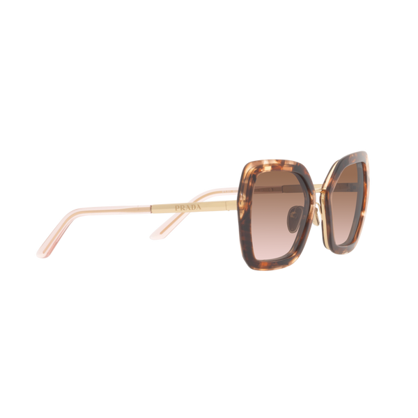 Prada PR 53YS PR 53YS Havana Women's Sunglasses