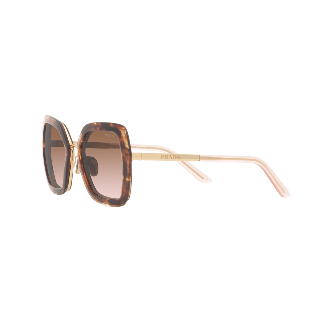 Prada PR 53YS PR 53YS Havana Women's Sunglasses