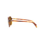 Ray Ban BILL RB2198 Havana Unisex Sunglasses