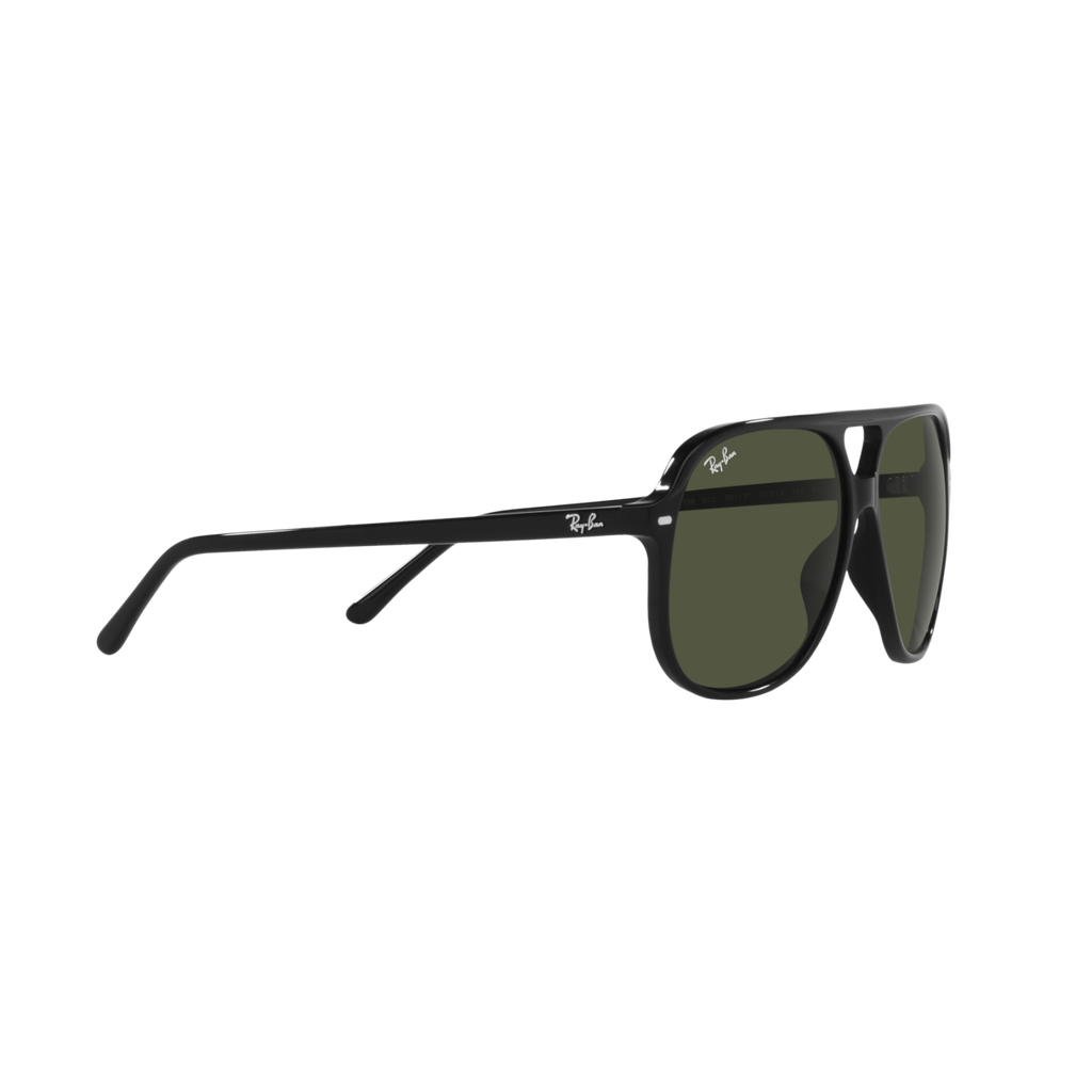 Ray Ban BILL RB2198F Black Unisex Sunglasses