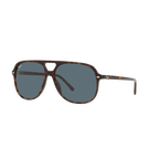Ray Ban BILL RB2198F Havana Unisex Sunglasses