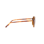 Ray Ban BILL RB2198F Havana Unisex Sunglasses