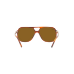 Ray Ban BILL RB2198F Havana Unisex Sunglasses