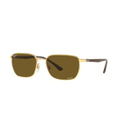 Ray Ban RB3684CH RB3684CH Gold Unisex Polarized Sunglasses