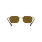 Ray Ban RB3684CH RB3684CH Gold Unisex Polarized Sunglasses