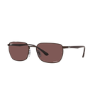 Ray Ban RB3684CH RB3684CH Brown Unisex Polarized Sunglasses