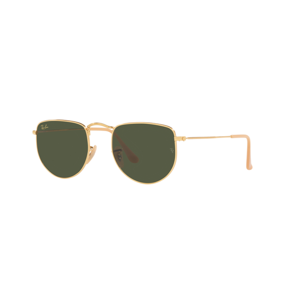 Ray Ban ELON RB3958 Gold Unisex Sunglasses