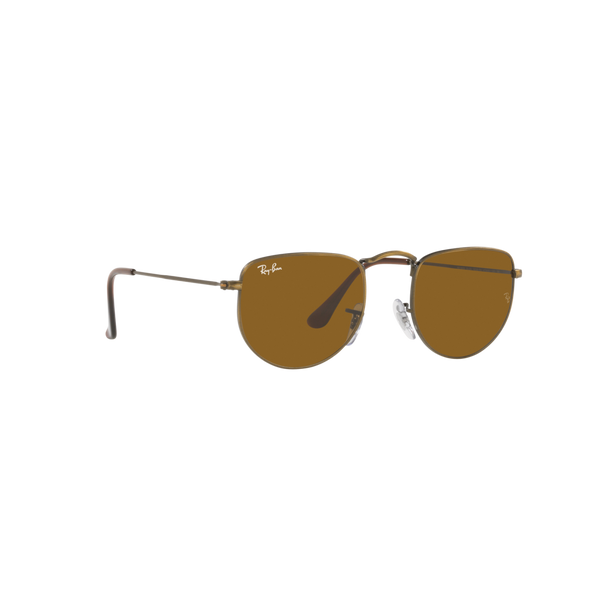 Ray Ban ELON RB3958 Gold Unisex Sunglasses
