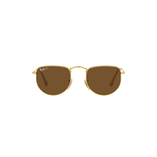 Ray Ban ELON RB3958 Gold Unisex Polarized Sunglasses
