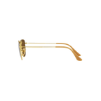 Ray Ban ELON RB3958 Gold Unisex Polarized Sunglasses