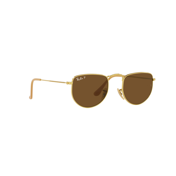 Ray Ban ELON RB3958 Gold Unisex Polarized Sunglasses