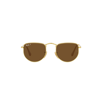 Ray Ban ELON RB3958 Gold Unisex Polarized Sunglasses