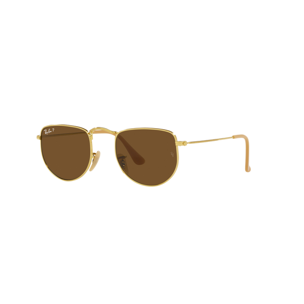 Ray Ban ELON RB3958 Gold Unisex Polarized Sunglasses