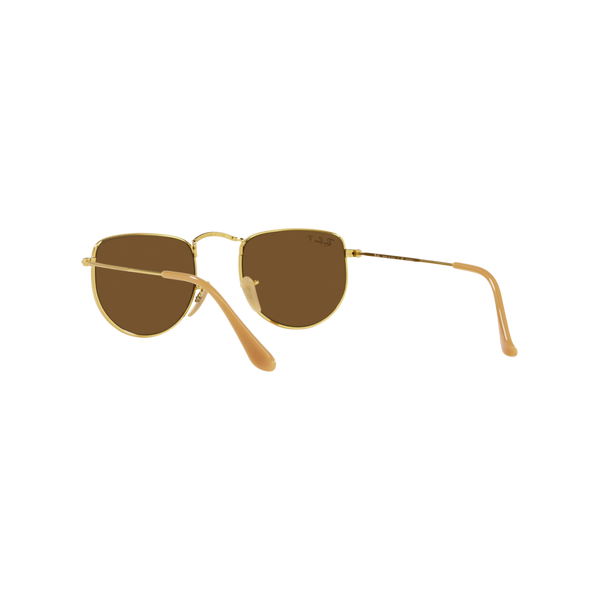 Ray Ban ELON RB3958 Gold Unisex Polarized Sunglasses