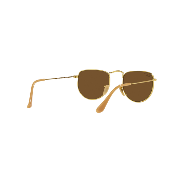 Ray Ban ELON RB3958 Gold Unisex Polarized Sunglasses
