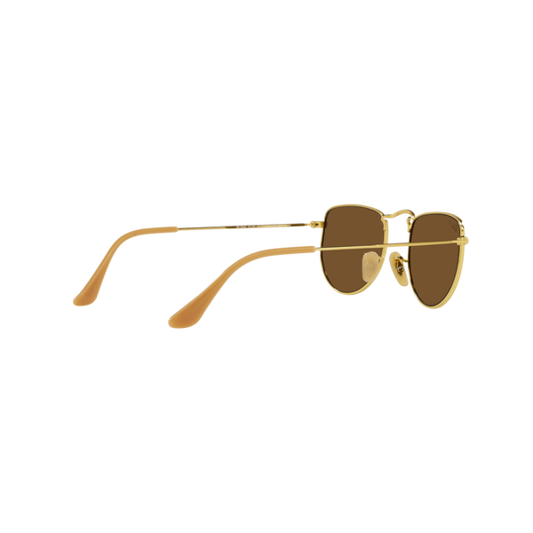 Ray Ban ELON RB3958 Gold Unisex Polarized Sunglasses