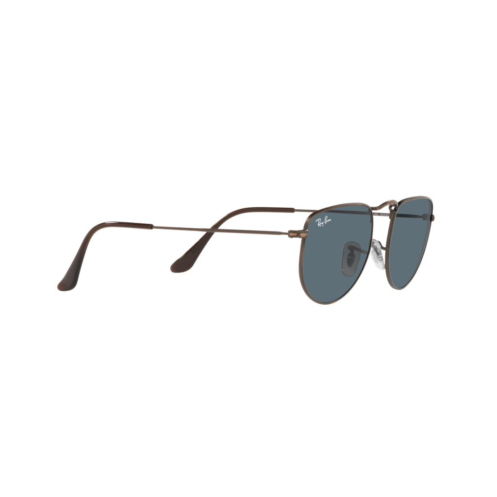 Ray Ban ELON RB3958 Bronze Unisex Sunglasses