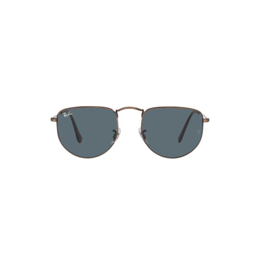 Ray Ban ELON RB3958 Bronze Unisex Sunglasses