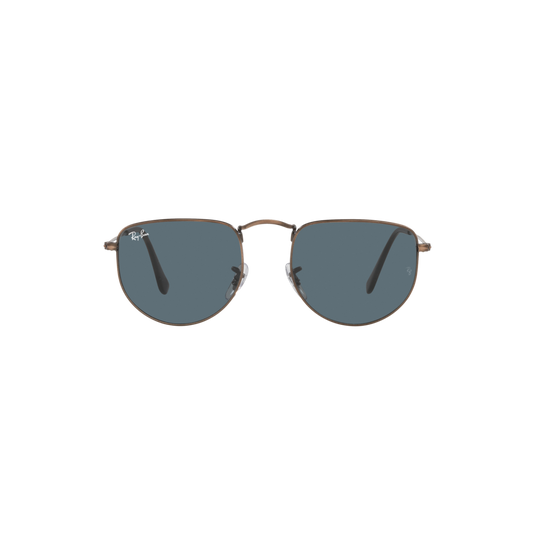 Ray Ban ELON RB3958 Bronze Unisex Sunglasses