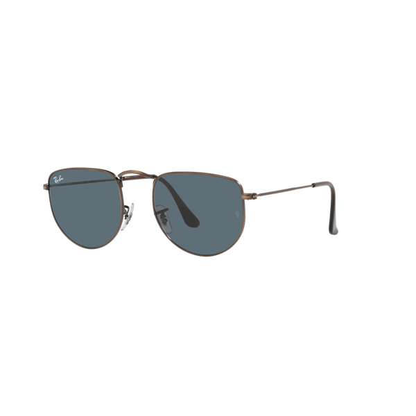 Ray Ban ELON RB3958 Bronze Unisex Sunglasses