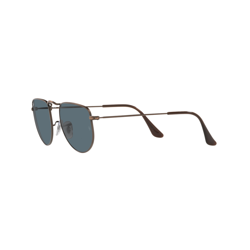 Ray Ban ELON RB3958 Bronze Unisex Sunglasses