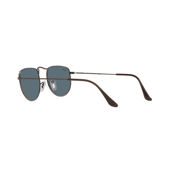 Ray Ban ELON RB3958 Bronze Unisex Sunglasses