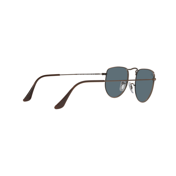 Ray Ban ELON RB3958 Bronze Unisex Sunglasses