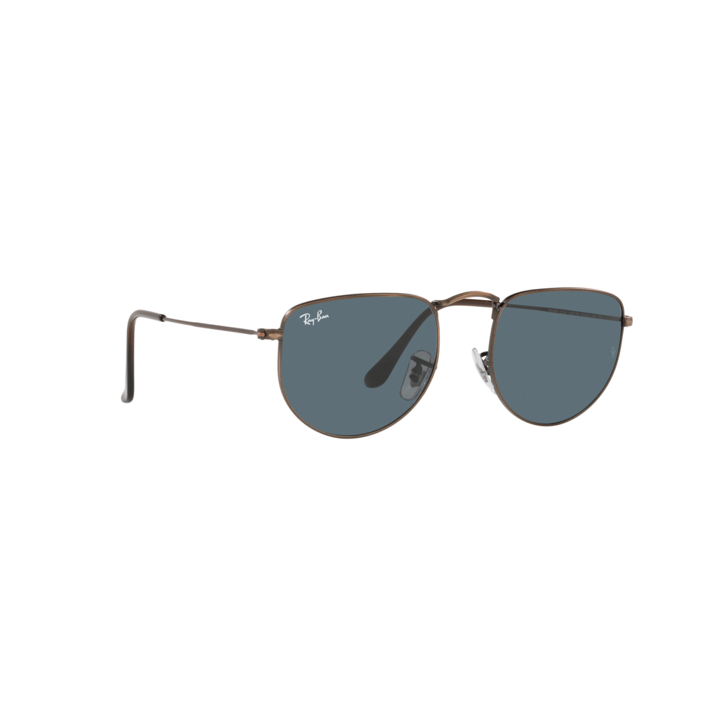Ray Ban ELON RB3958 Bronze Unisex Sunglasses