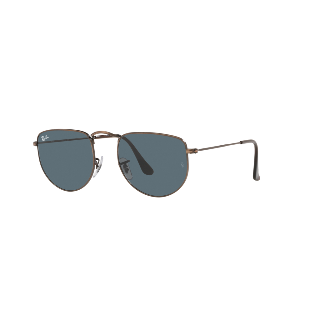 Ray Ban ELON RB3958 Bronze Unisex Sunglasses