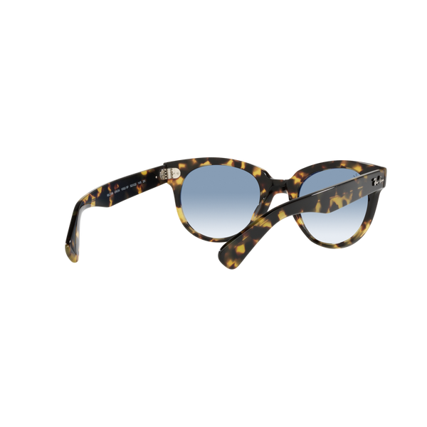 Ray Ban ORION RB2199F Havana Unisex Sunglasses
