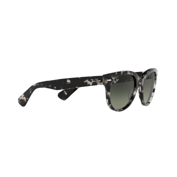 Ray Ban ORION RB2199F Havana Unisex Sunglasses
