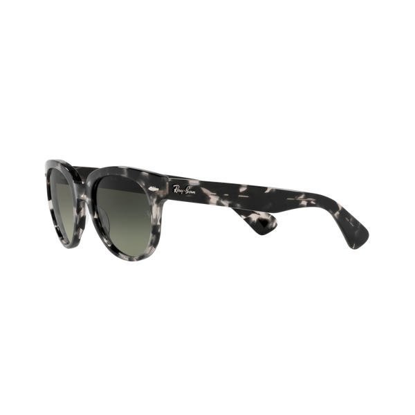 Ray Ban ORION RB2199F Havana Unisex Sunglasses