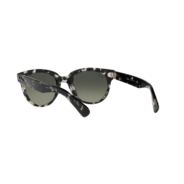 Ray Ban ORION RB2199F Havana Unisex Sunglasses