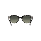 Ray Ban ORION RB2199F Havana Unisex Sunglasses