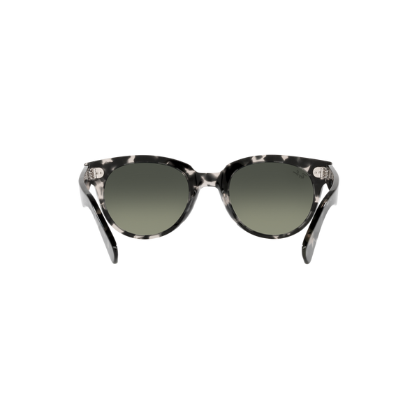 Ray Ban ORION RB2199F Havana Unisex Sunglasses