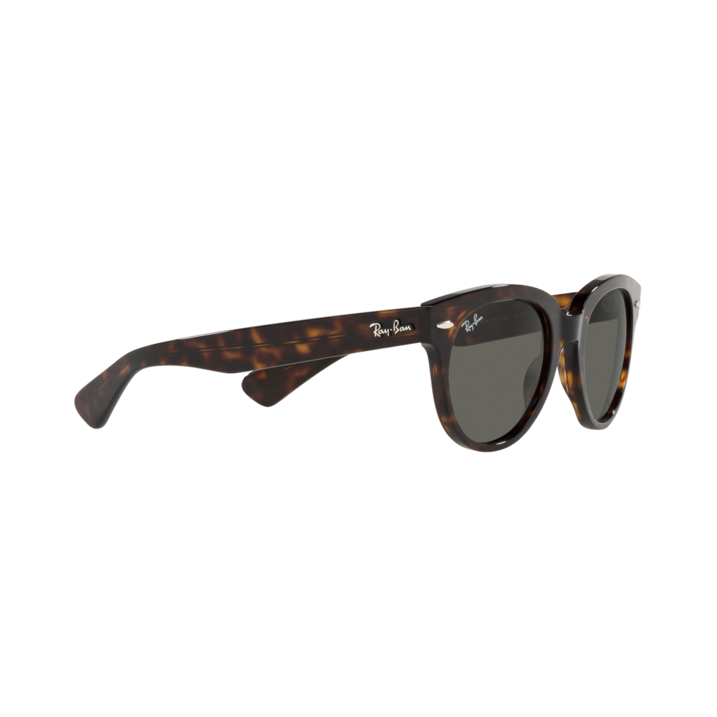 Ray Ban ORION RB2199F Havana Unisex Sunglasses