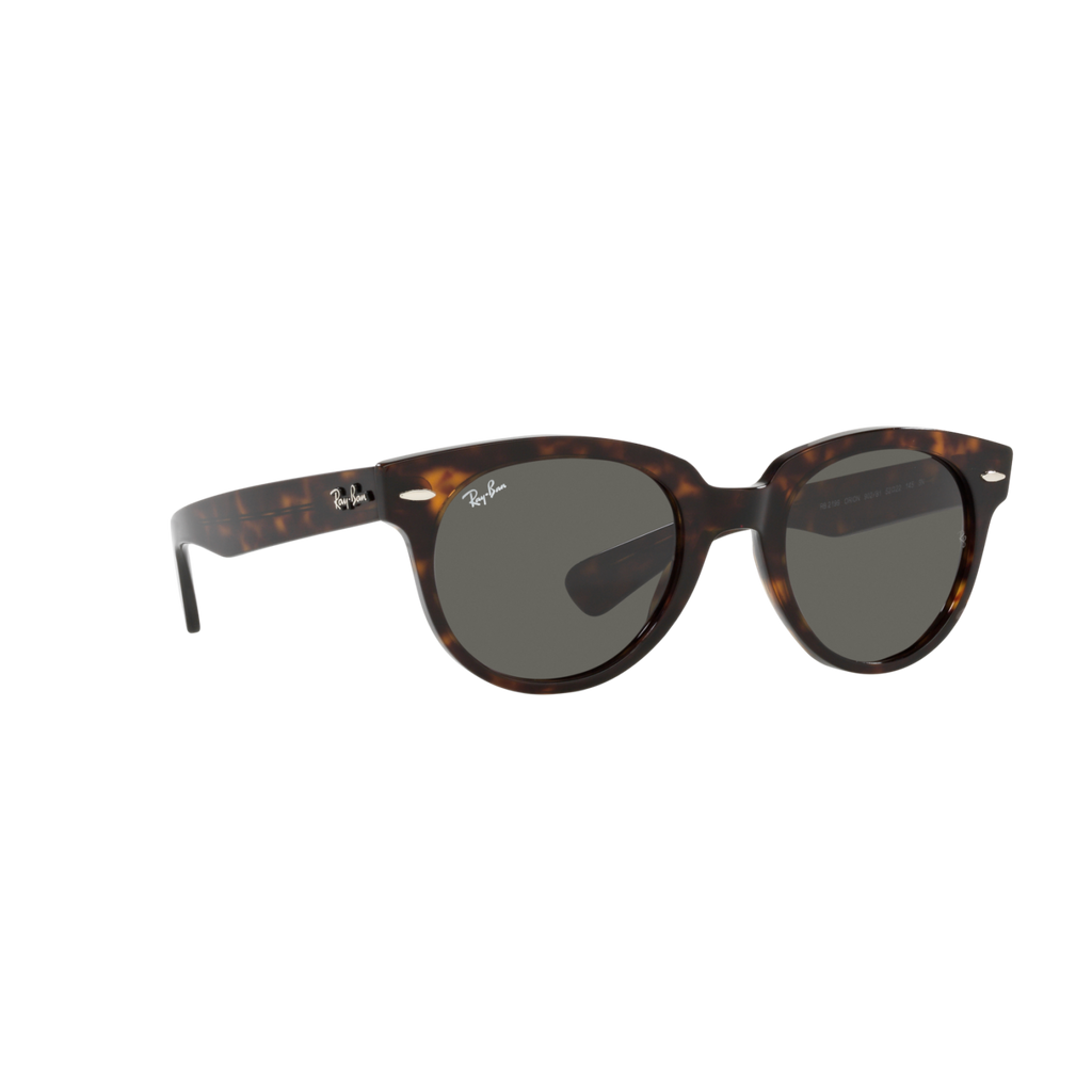 Ray Ban ORION RB2199F Havana Unisex Sunglasses