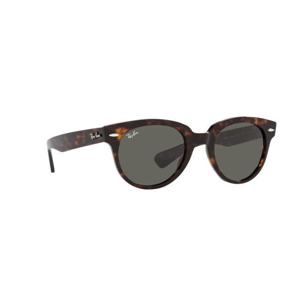 Ray Ban ORION RB2199F Havana Unisex Sunglasses