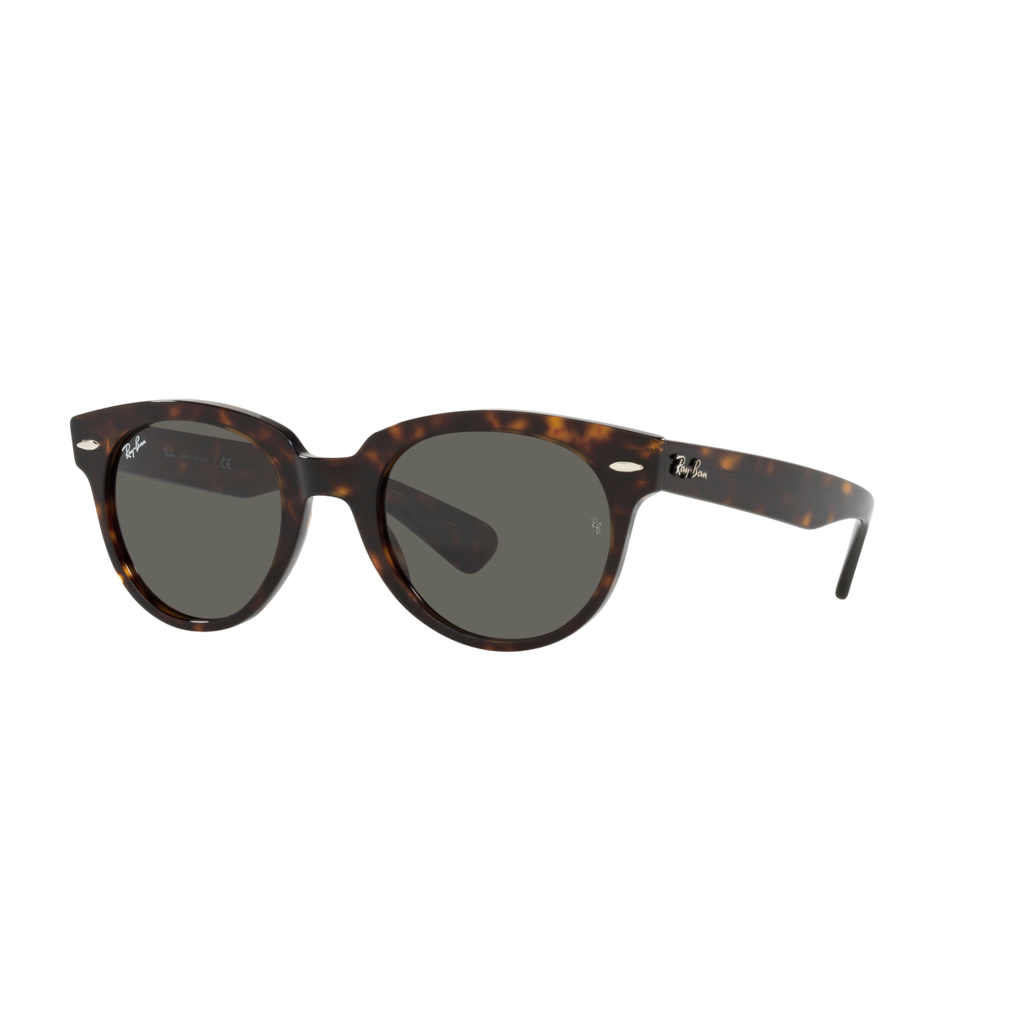 Ray Ban ORION RB2199F Havana Unisex Sunglasses