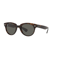 Ray Ban ORION RB2199F Havana Unisex Sunglasses