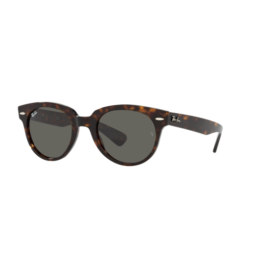 Ray Ban ORION RB2199F Havana Unisex Sunglasses