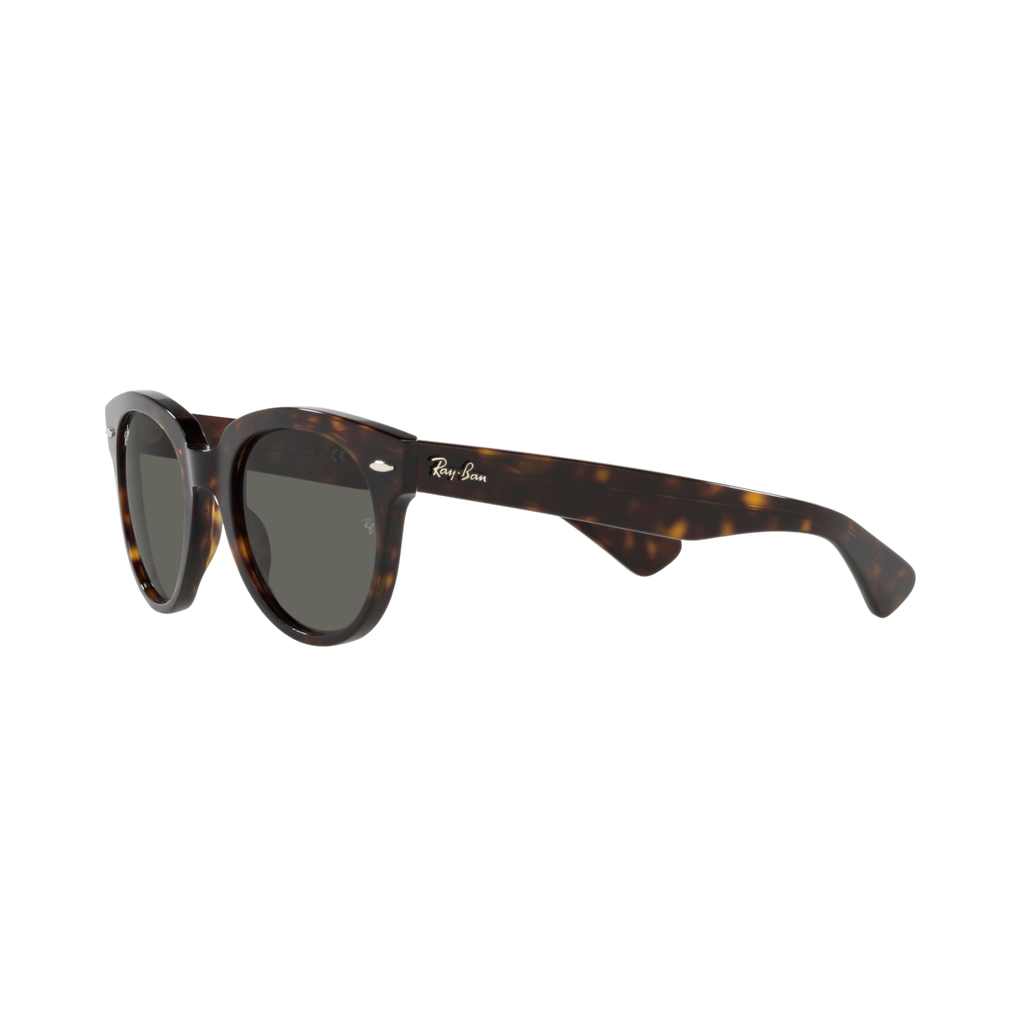 Ray Ban ORION RB2199F Havana Unisex Sunglasses