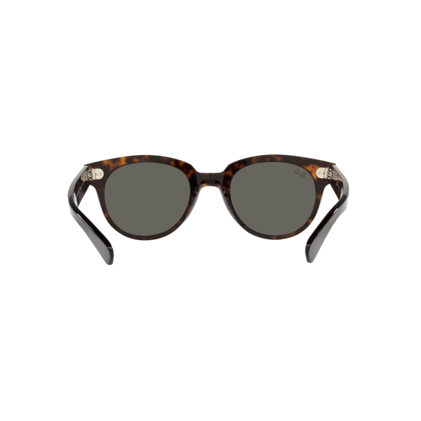 Ray Ban ORION RB2199F Havana Unisex Sunglasses