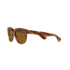 Ray Ban ORION RB2199F Havana Unisex Sunglasses