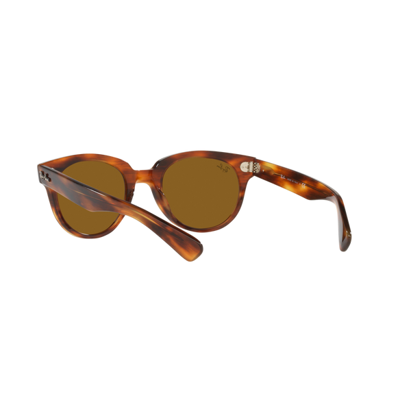 Ray Ban ORION RB2199F Havana Unisex Sunglasses
