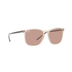 Ray Ban RB4387 RB4387 Brown Unisex Sunglasses