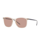 Ray Ban RB4387 RB4387 Brown Unisex Sunglasses