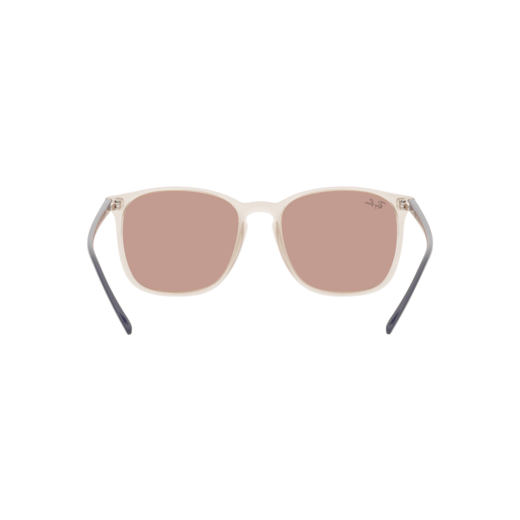 Ray Ban RB4387 RB4387 Brown Unisex Sunglasses