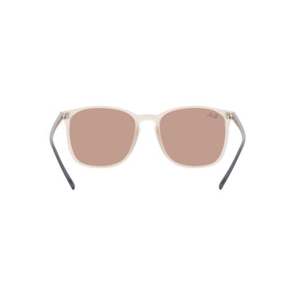 Ray Ban RB4387 RB4387 Brown Unisex Sunglasses